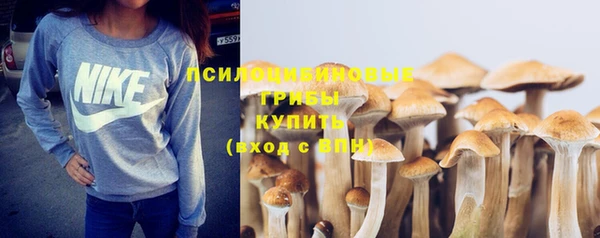 бошки Баксан