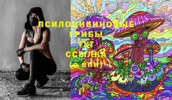 бошки Баксан