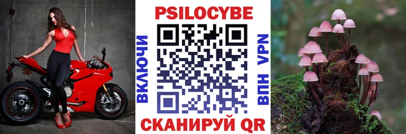 Галлюциногенные грибы MAGIC MUSHROOMS  Спас-Деменск 